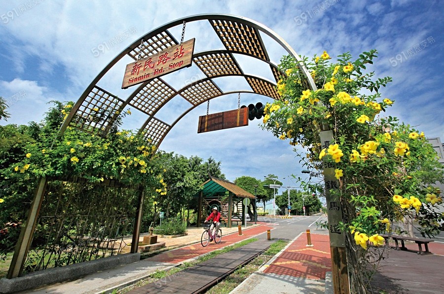 流星雨巨蟹座環境圖