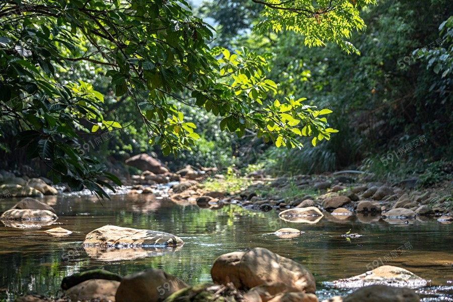 聯上天母環境圖