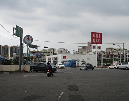 可租補寵貓乾淨安靜單純 - Image 11