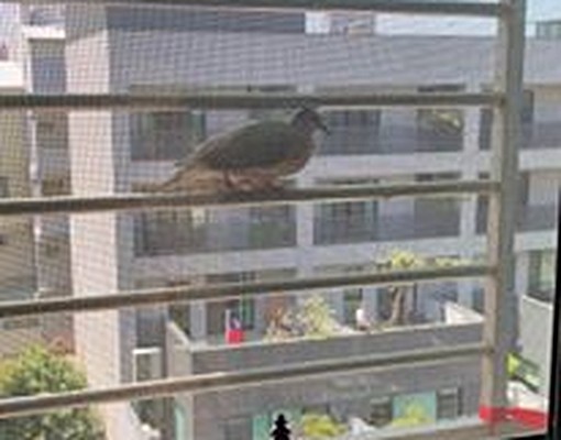 慶平路面溫馨時尚3房2廳2衛出租 - Image 4