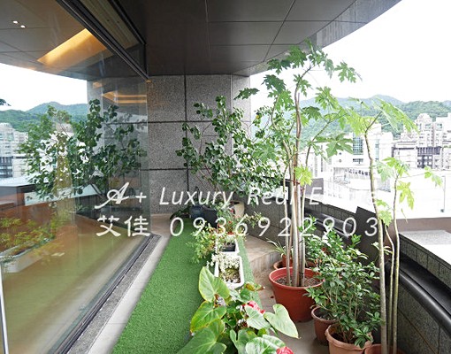 一層一戶近捷運101我成交御之苑可看全部 - Image 9