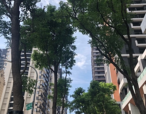 Costco富春居樓中樓型套房出租 - Image 5