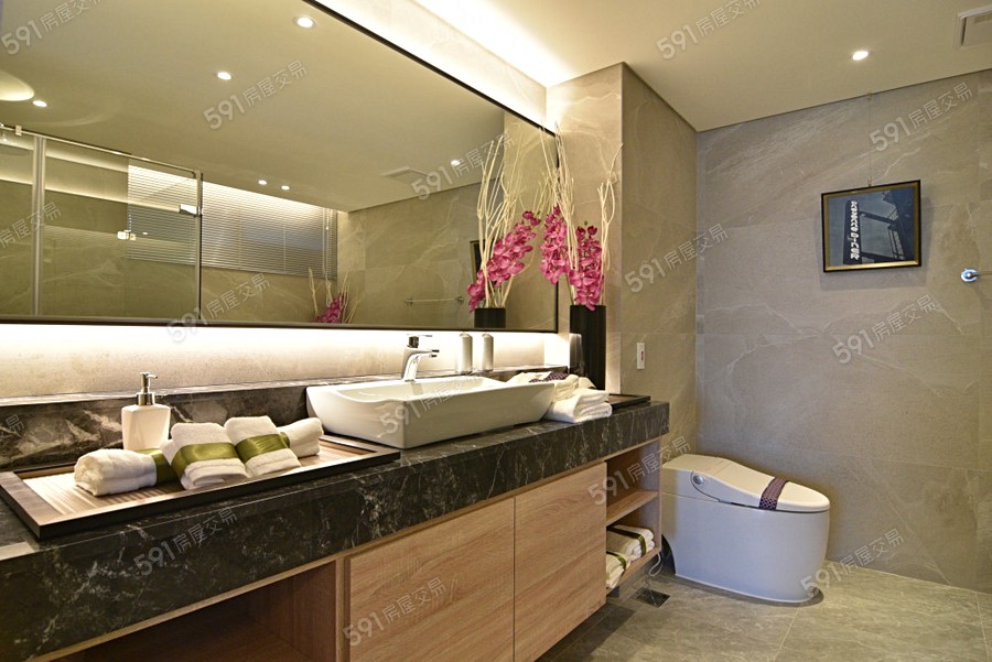 臺中帝寶樣/實品屋