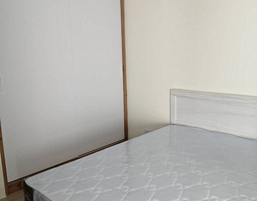 東橋水舞紀兩房兩衛大平車 - Image 8