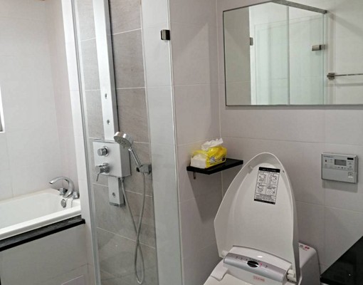 東橋水舞紀兩房兩衛大平車 - Image 7