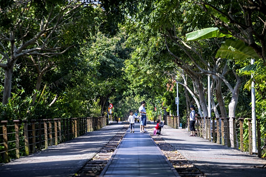 多芬慕夏環境圖