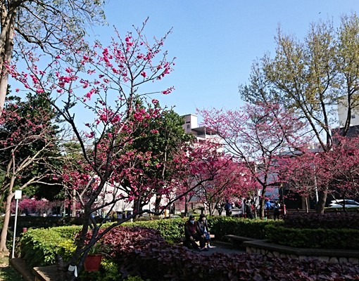 中壢後站體育園區景觀陽台全新衛浴大套房 - Image 14