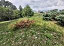 石岡區-土地，950.5坪
