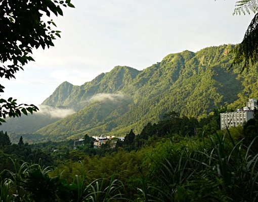 溪頭長住渡假 - Image 14