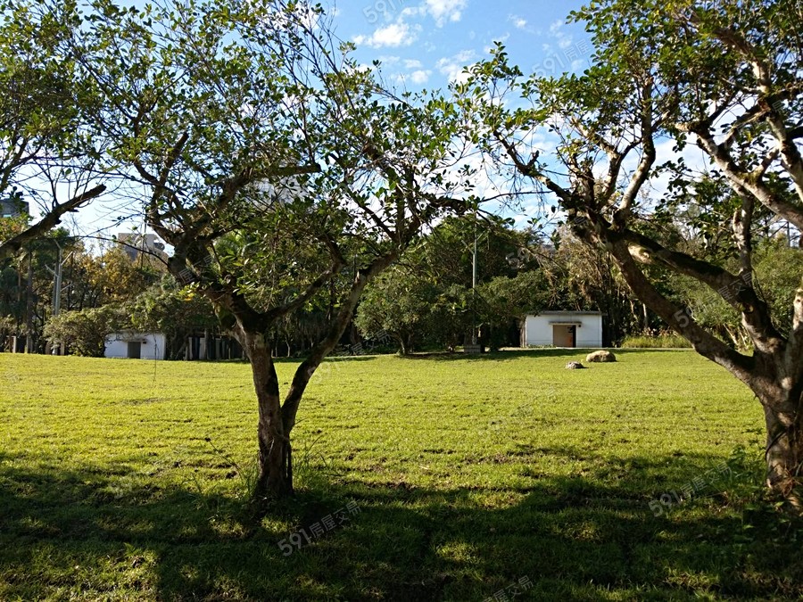 仁愛映巷環境圖