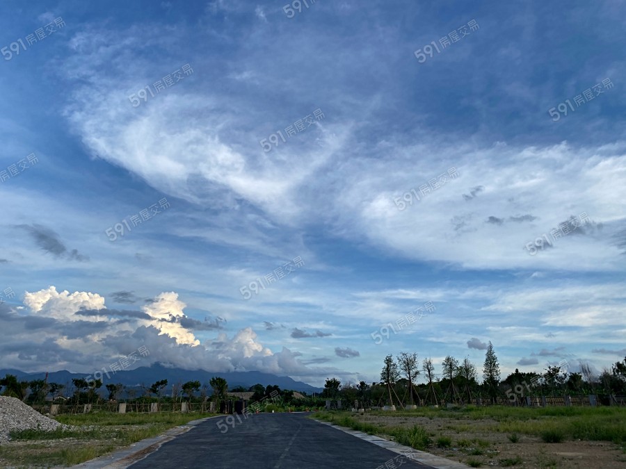 璞樸莊園II TwinHouse實景圖