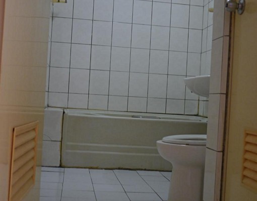 自租~全新整修別墅，鄰近公園綠地、學區 - Image 15