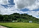 草屯鎮-中正路土地，877坪
