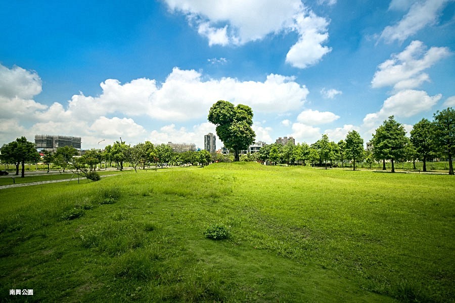 南興公園綠地寬敞。