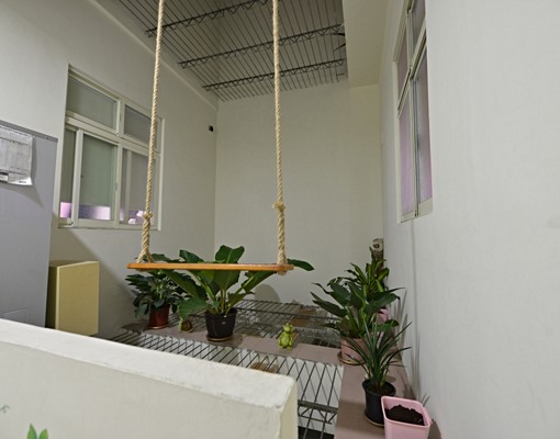 市區內優質精美套房22 - Image 7