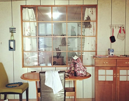 豐原市中心電梯景觀大樓(屋主自租免仲介) - Image 1