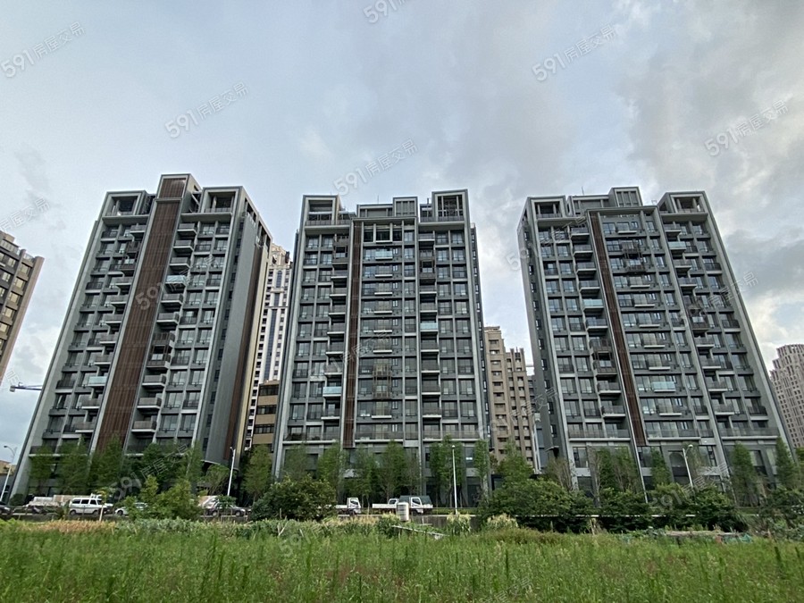 竹風樹海實景圖