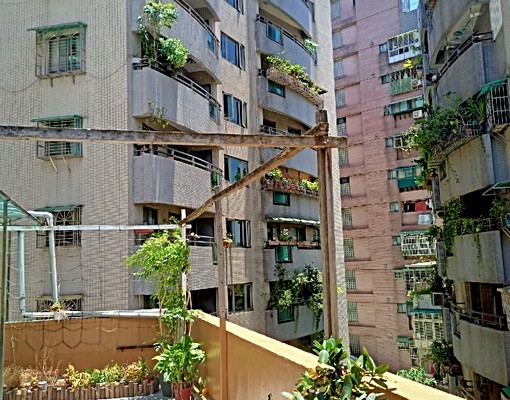 頂溪捷運/1房1廳1衛/新裝潢/大陽台 - Image 12