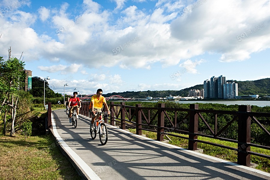 湯泉紅樹林環境圖