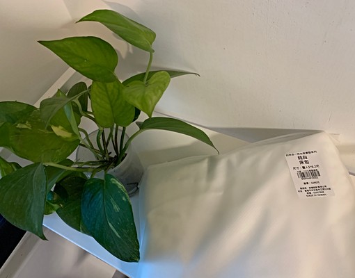 可租補請確認不抽煙無寵物愛乾淨安靜再來電 - Image 3