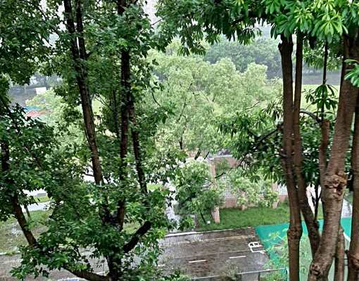 頂埔舒適小雅房 - Image 1