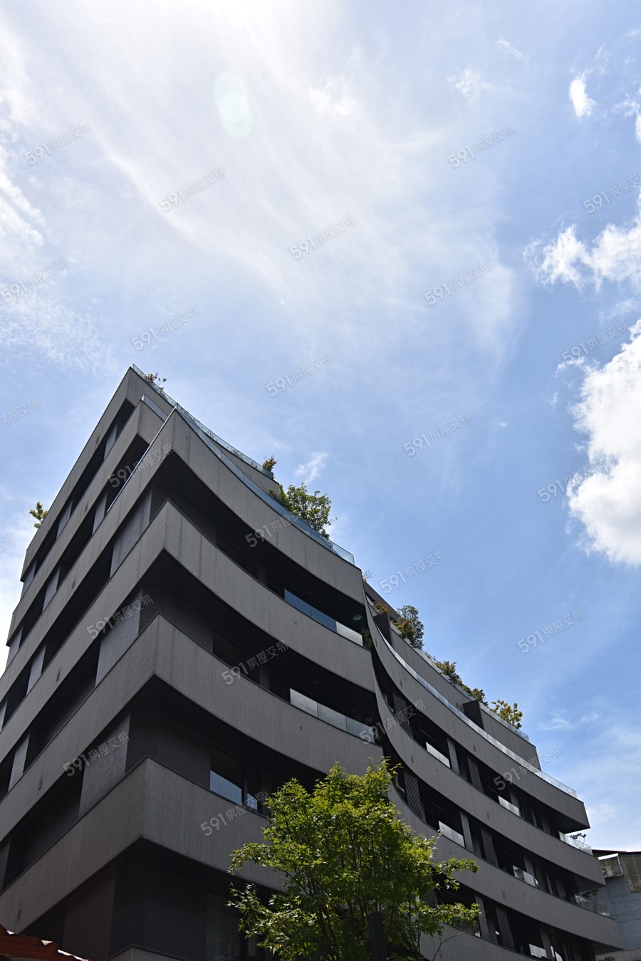 信義逸居實景圖