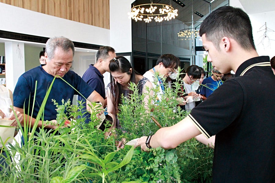 大城舉辦的薰衣草森林講座
