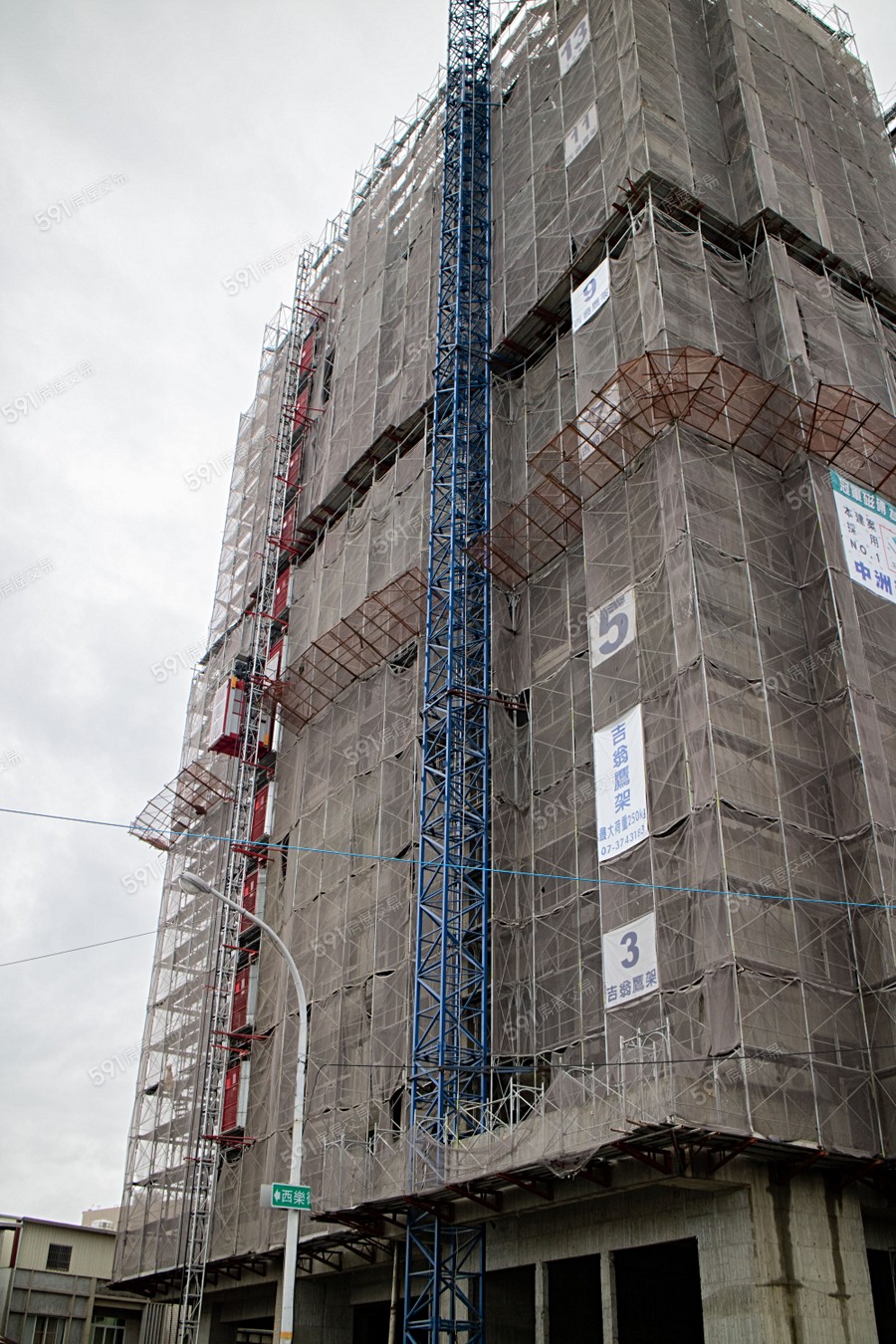 中洲種子聖殿實景圖