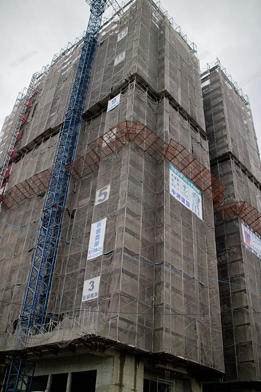 中洲種子聖殿實景圖