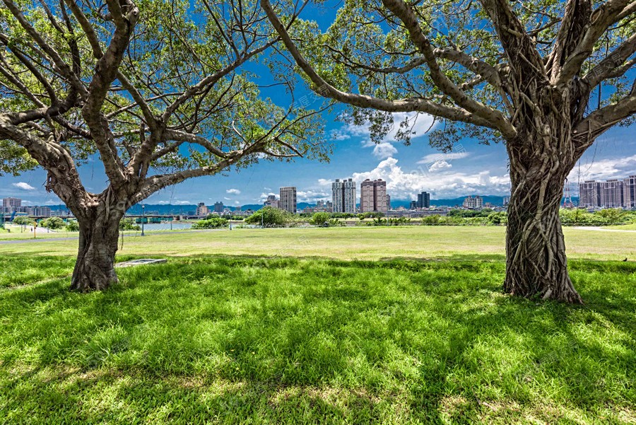 國雄中正環境圖