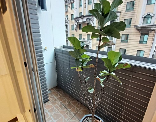 💘長庚商圈-漂亮住家、辦公宅(含管理費) - Image 9