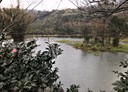 金山區-兩湖村土地，9522.5坪