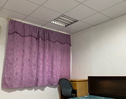 磚牆隔間寧靜巷弄 - Image 5