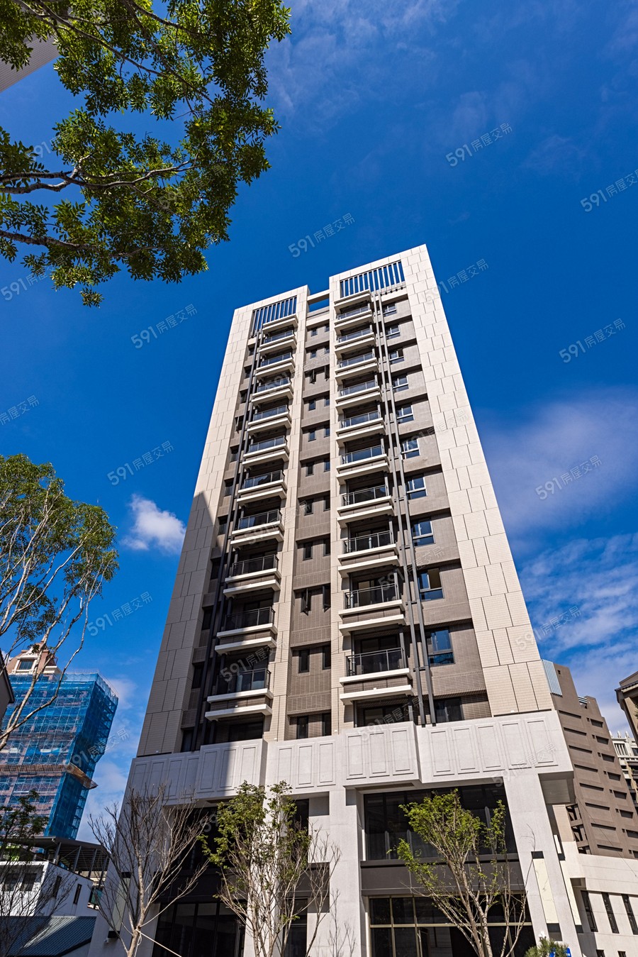 定泰翫寶龍實景圖