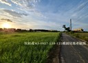 中壢區-山上段土地，302.5坪