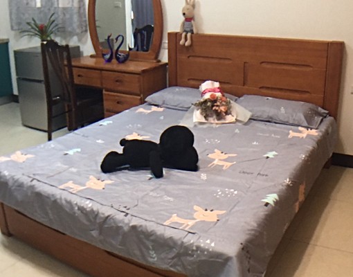 鳳山隔壁全新小資族單人套房出租 - Image 3