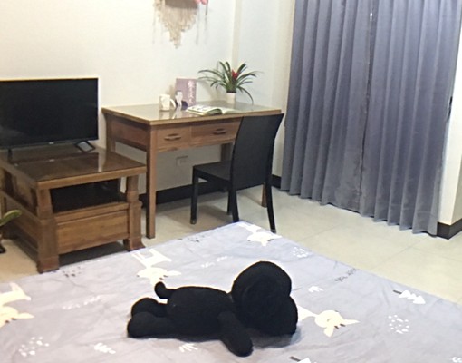 鳳山隔壁全新小資族單人套房出租 - Image 4