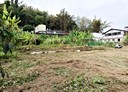 旗山區-旗文路土地，114.2坪