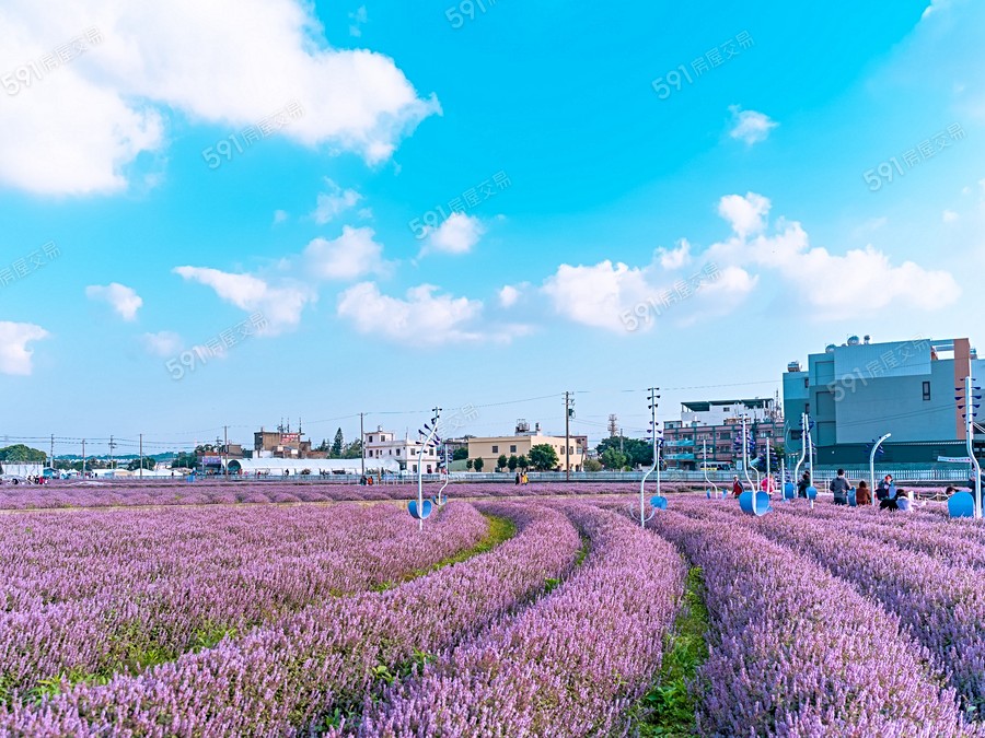 恬居-透天區環境圖