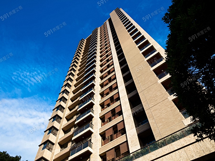 峰景敦仁實景圖