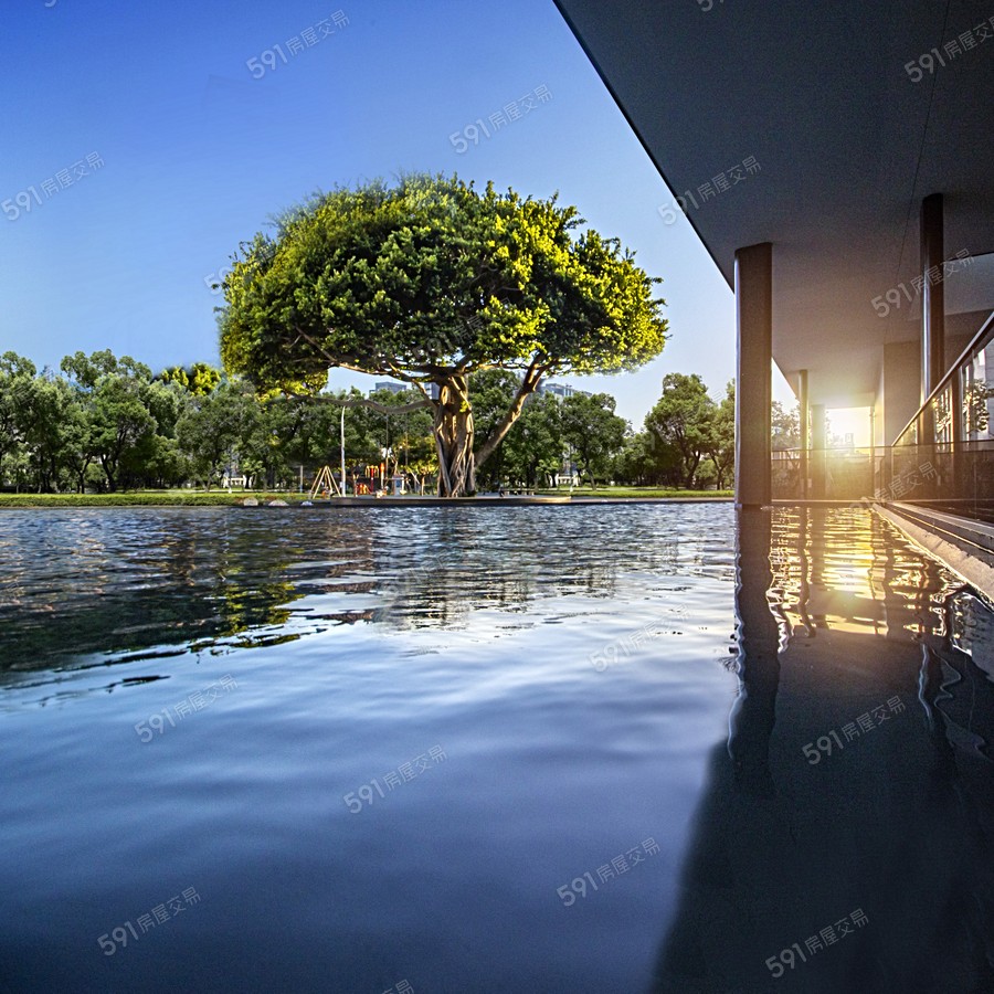 新濠漾II-紐約公園宣傳圖