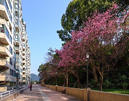 💗專營石門水庫中科院水鄉渡假大套房含車位家具全可租屋補助 - Image 1
