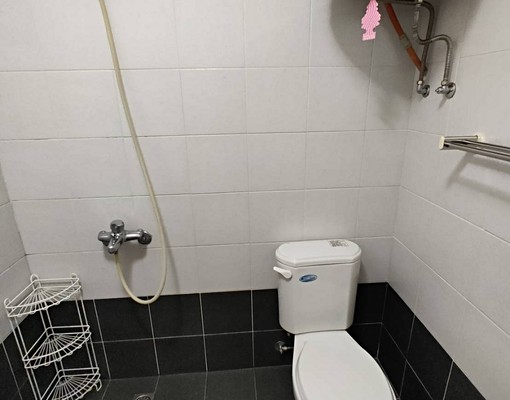 生活機能優限女性,看實屋為主,獨立洗衣機 - Image 11
