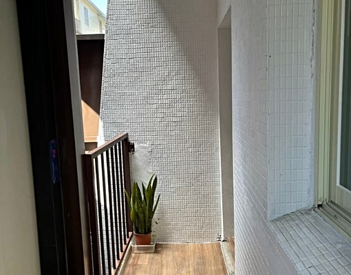 林場文化園區附近,竹義路,中正北路旁 - Image 13