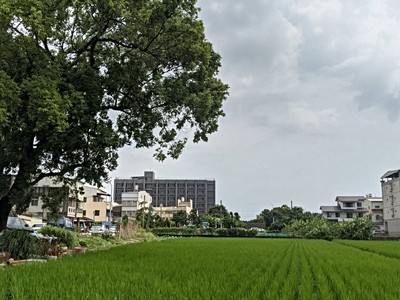 投資虎科大套房三樓。滿租收租光纖WiFi會館