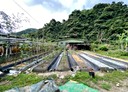 新店區-平廣路一段土地，843坪
