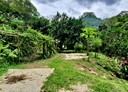 芎林鄉-鹿寮坑土地，800坪