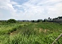 新屋區-清華段土地，1237坪