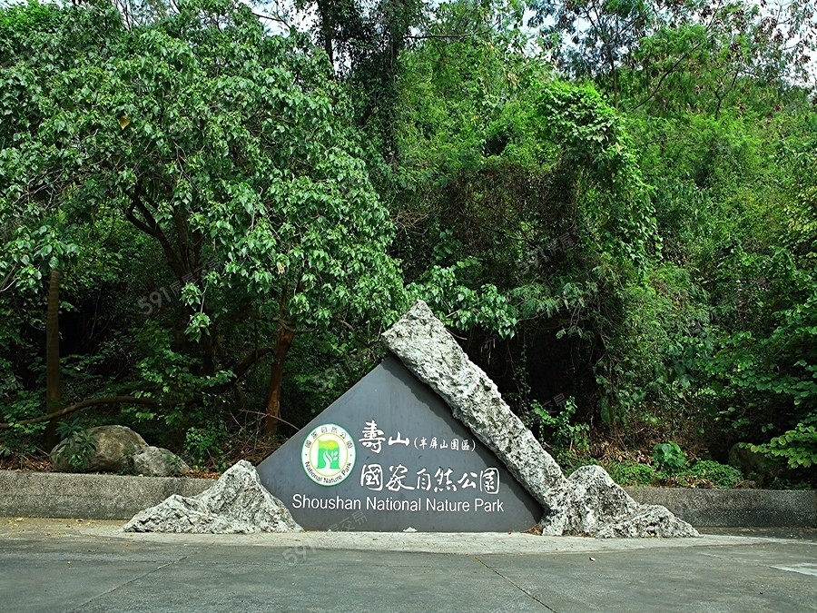 城揚三越Song 巨蛋核心城V環境圖