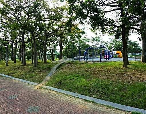 高坪2-1全新獨陽專洗貓寵採光房📞愛窩 - Image 9